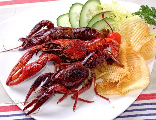关键词:小龙虾海鲜海产品黄瓜片盘子碟子龙虾小虾美味美食食物餐饮